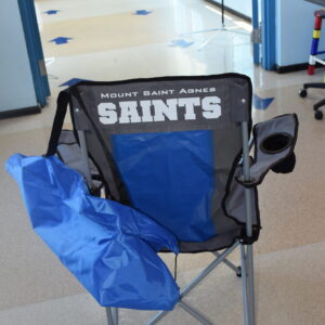 Folding Chair with Carrying Bag