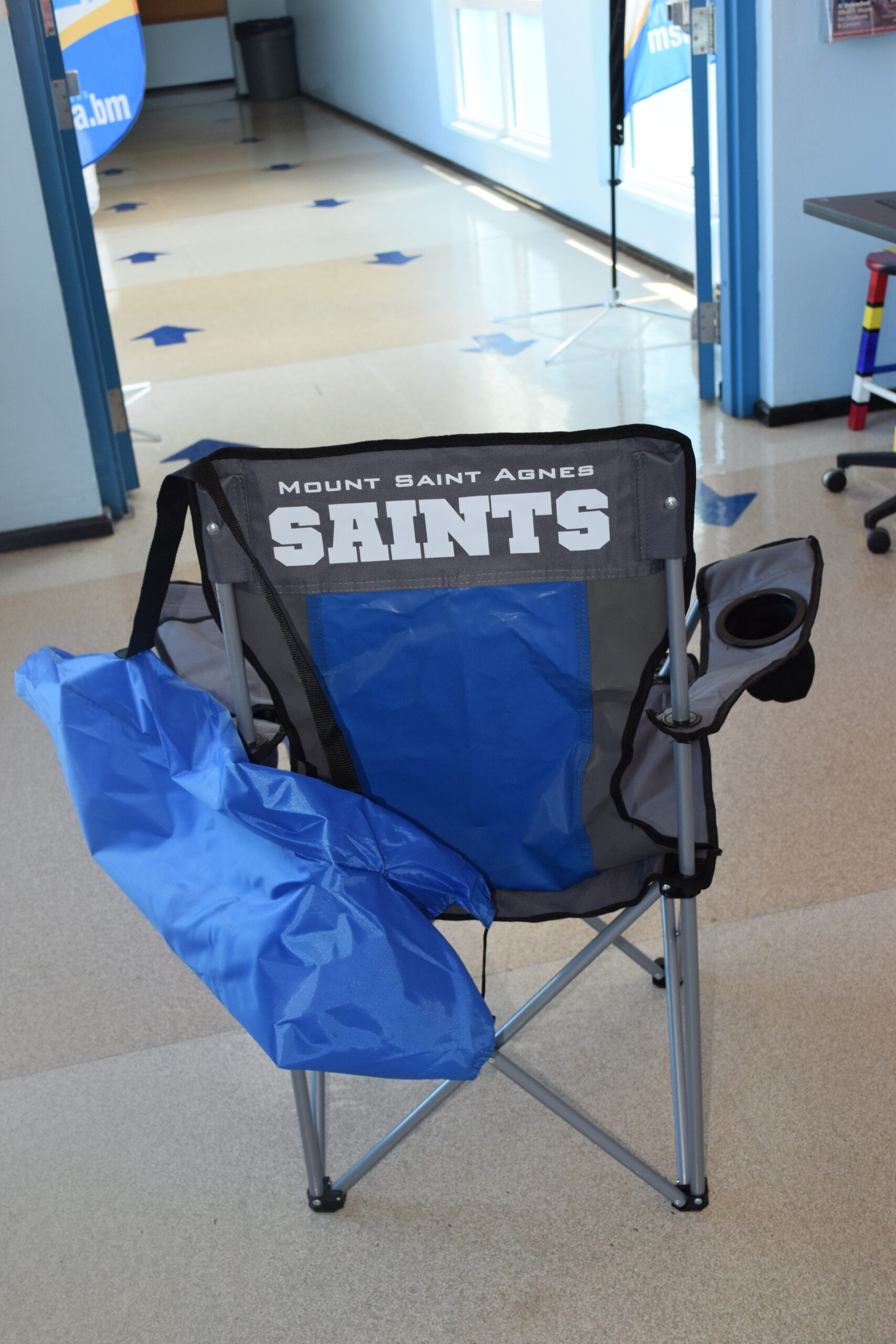 Folding Chair with Carrying Bag